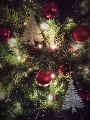 Para Navidad y las Fiestas