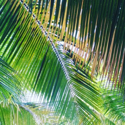 Día Internacional del Celiaco